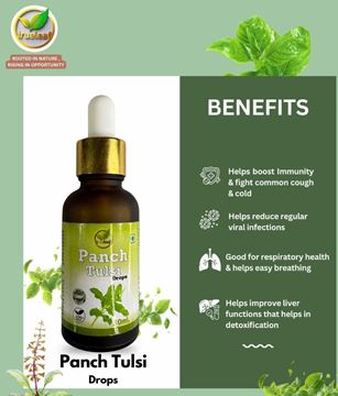 Picture of Panch Tulsi