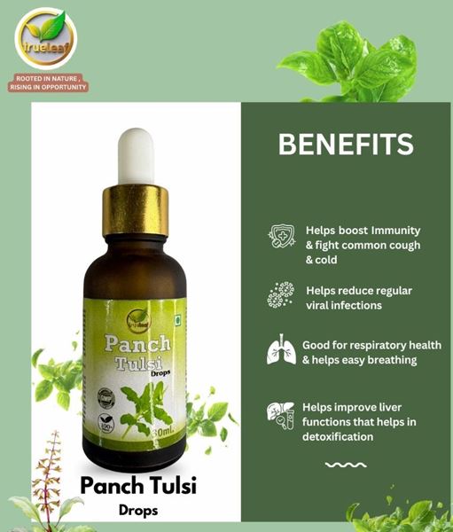 Picture of Panch Tulsi